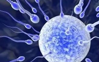 ai试管婴儿，试管婴儿的价格是多少？