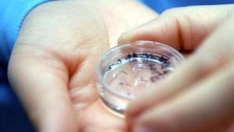 长春国内外正规医院人工授精价格三代试管婴儿费用差别不小