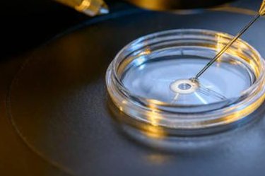 石家庄做三代试管婴儿费用大概要多少钱？