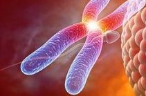 2026年北京做试管大概费用多少钱？一次试管会很贵吗？