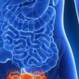 助孕生子合不合法？助孕生子真实经验介绍