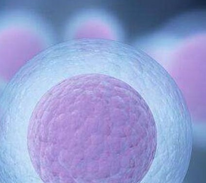 长沙私立医院做三代试管价格公布，做试管前必看