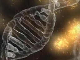 徐州妇幼试管婴儿，徐州试管婴儿医院排名